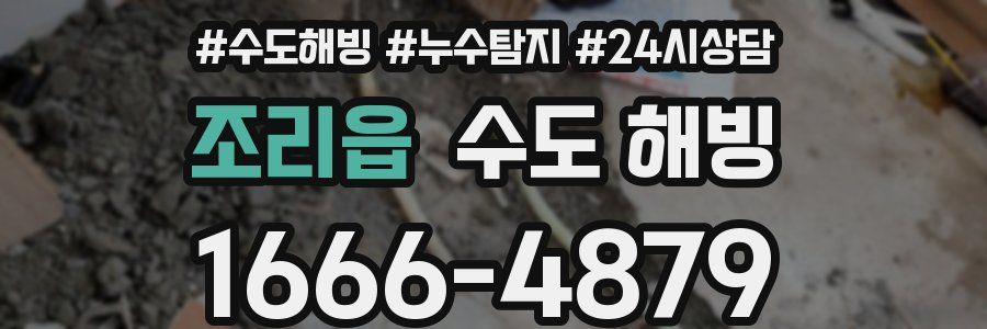 조리읍 수도 해빙