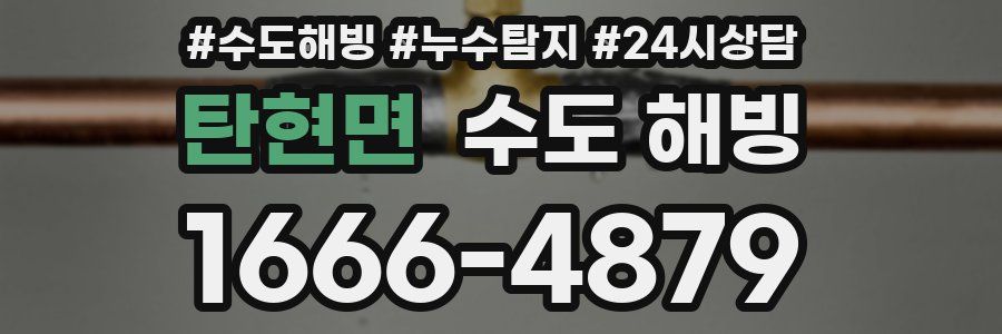 탄현면 수도 해빙