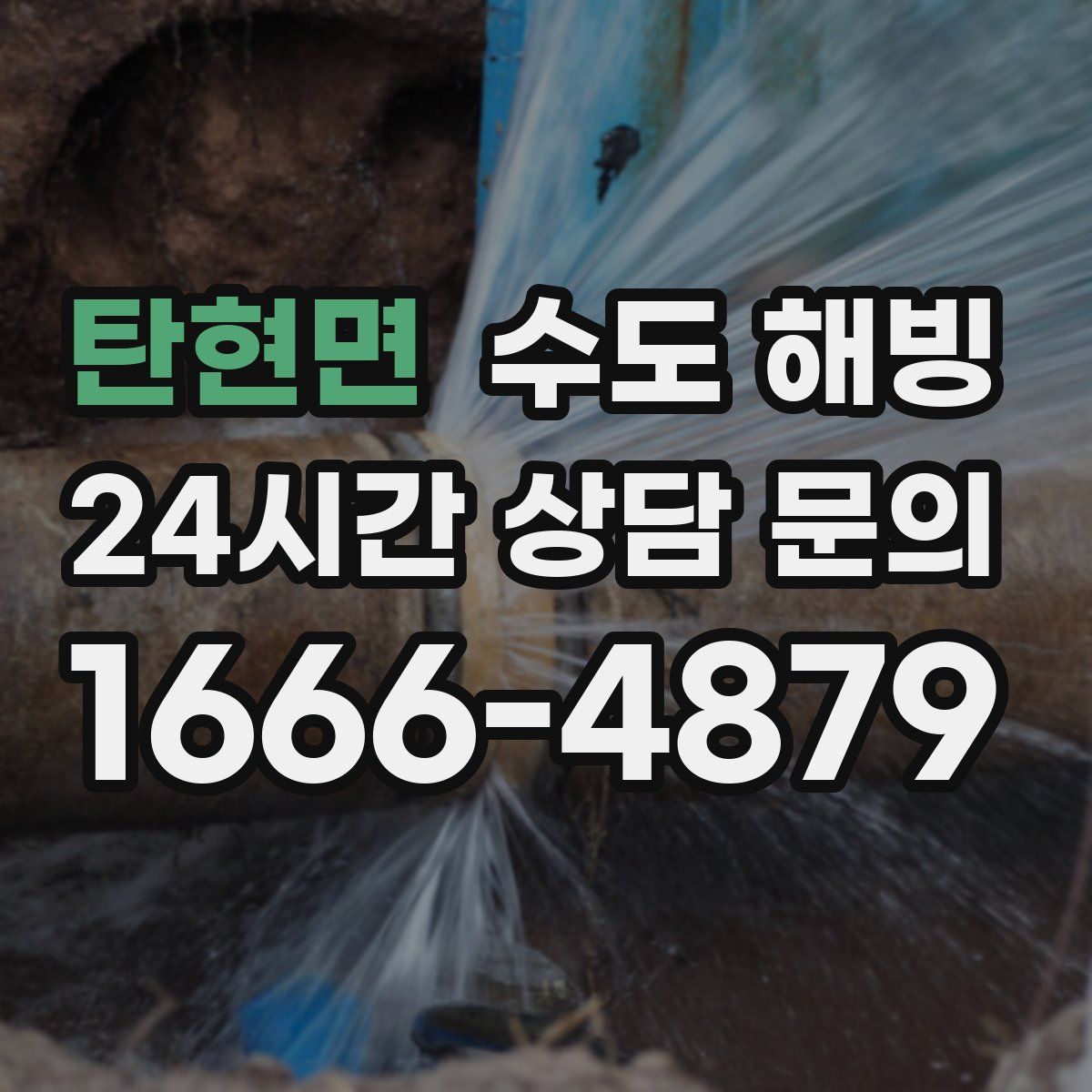 탄현면 수도 해빙