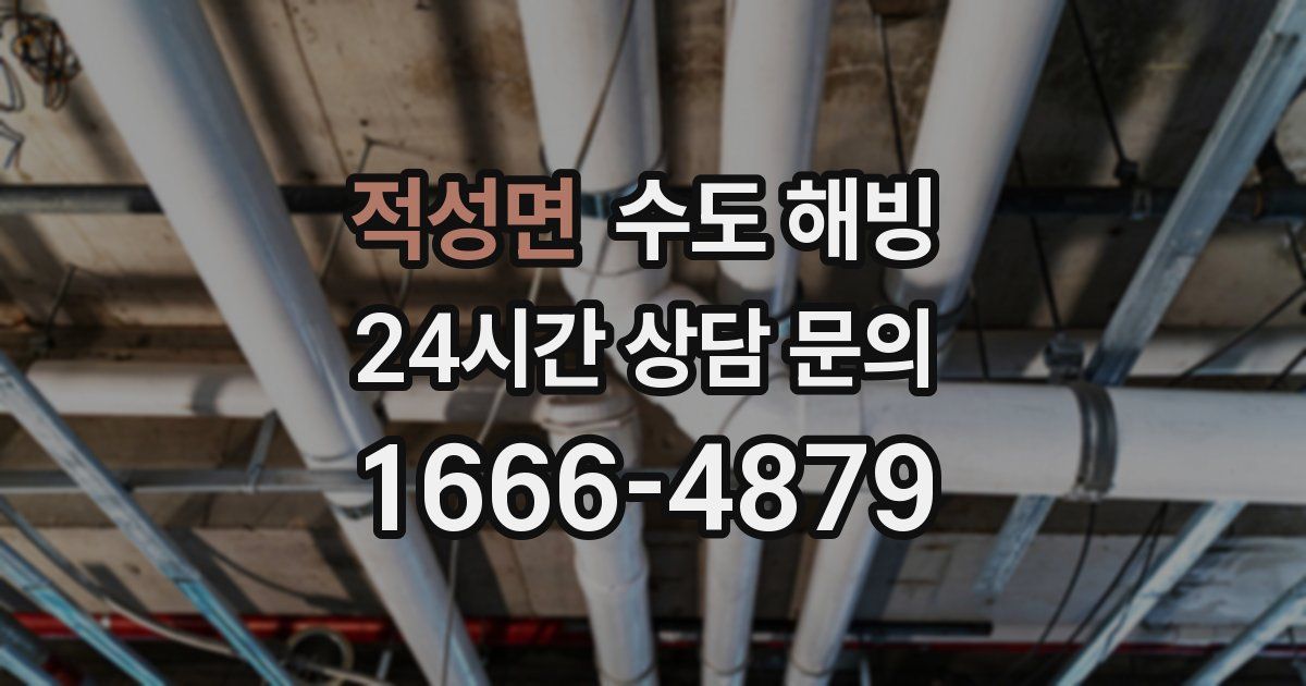 적성면 수도 해빙