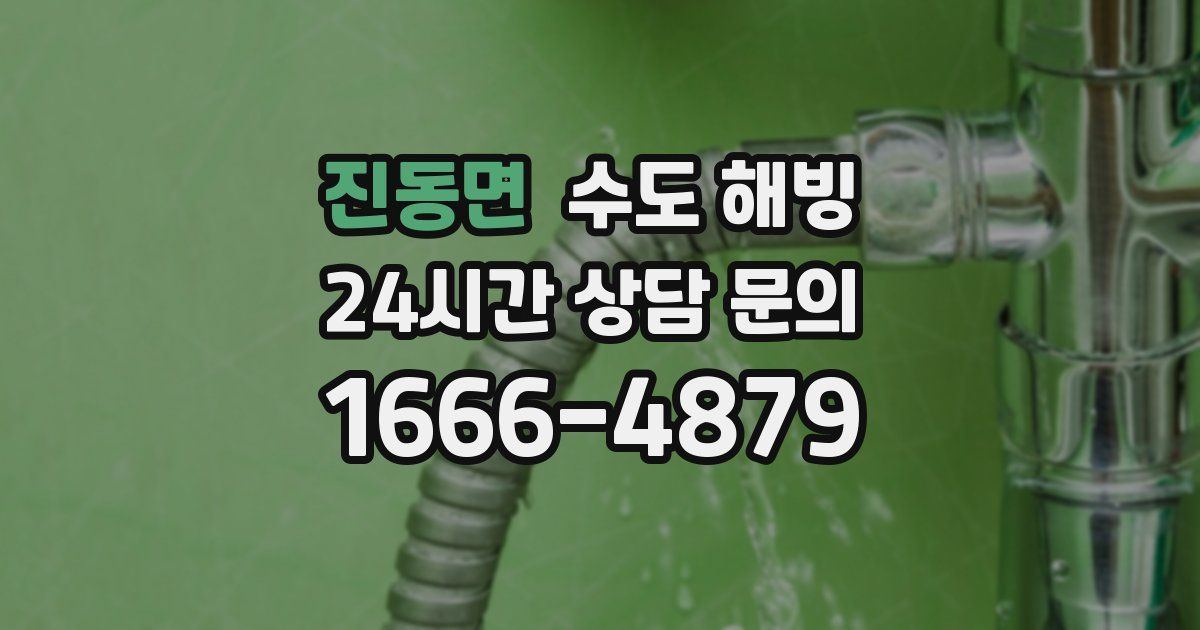 진동면 수도 해빙