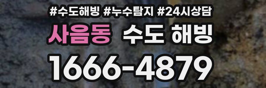 사음동 수도 해빙