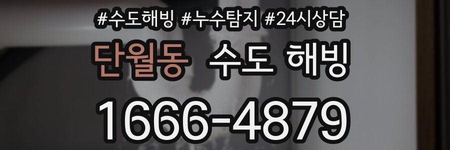 단월동 수도 해빙