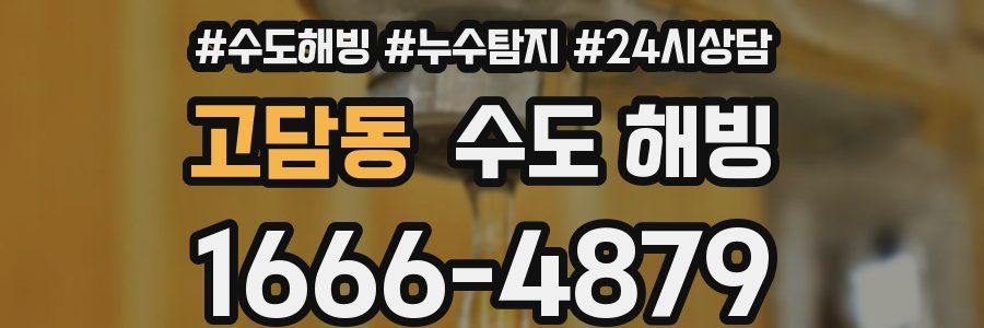 고담동 수도 해빙