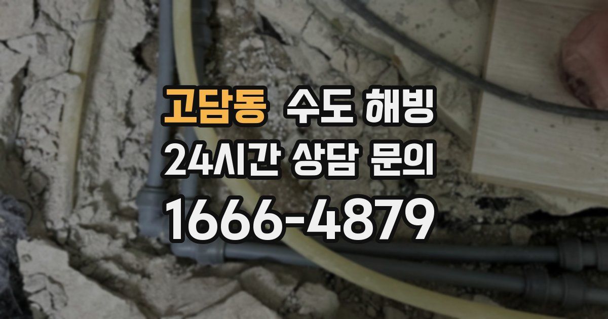 고담동 수도 해빙