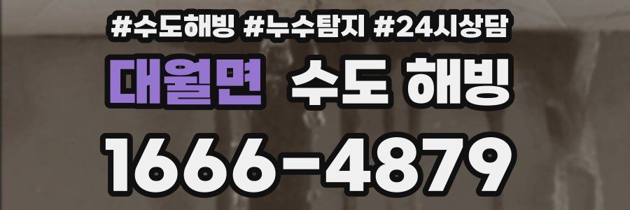 대월면 수도 해빙