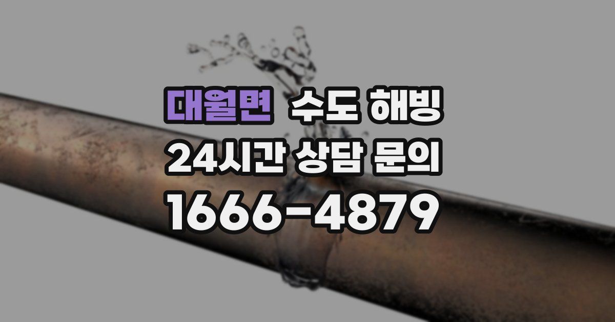 대월면 수도 해빙