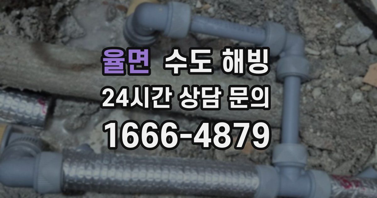 율면 수도 해빙