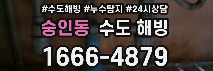 숭인동 수도 해빙