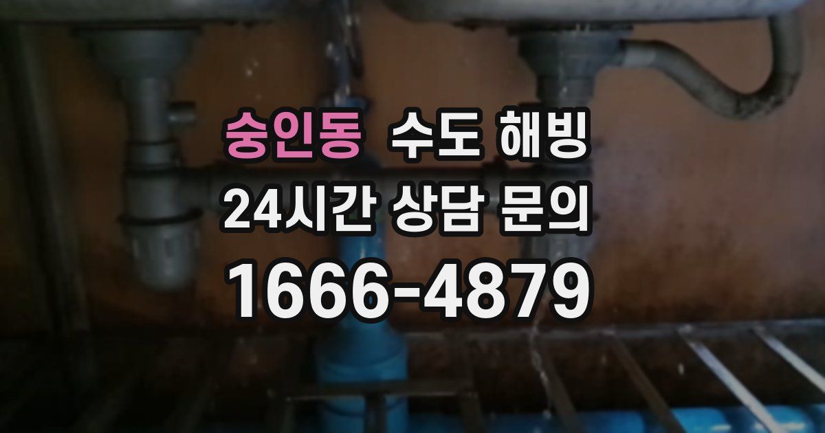 숭인동 수도 해빙