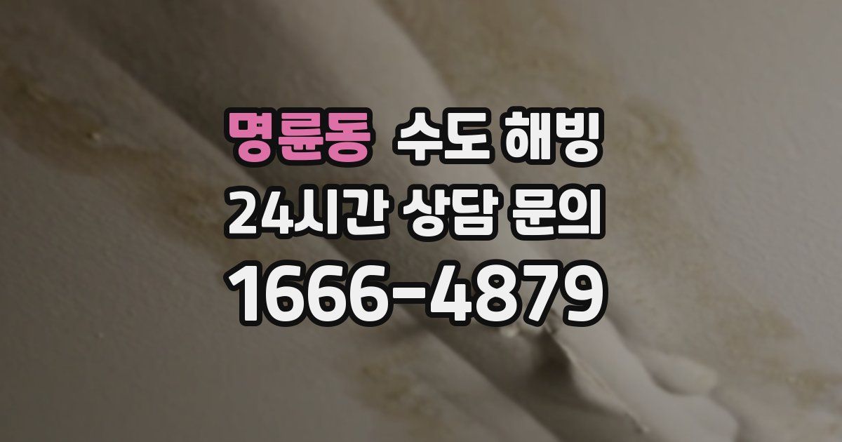 명륜동 수도 해빙