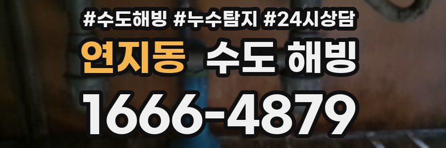 연지동 수도 해빙