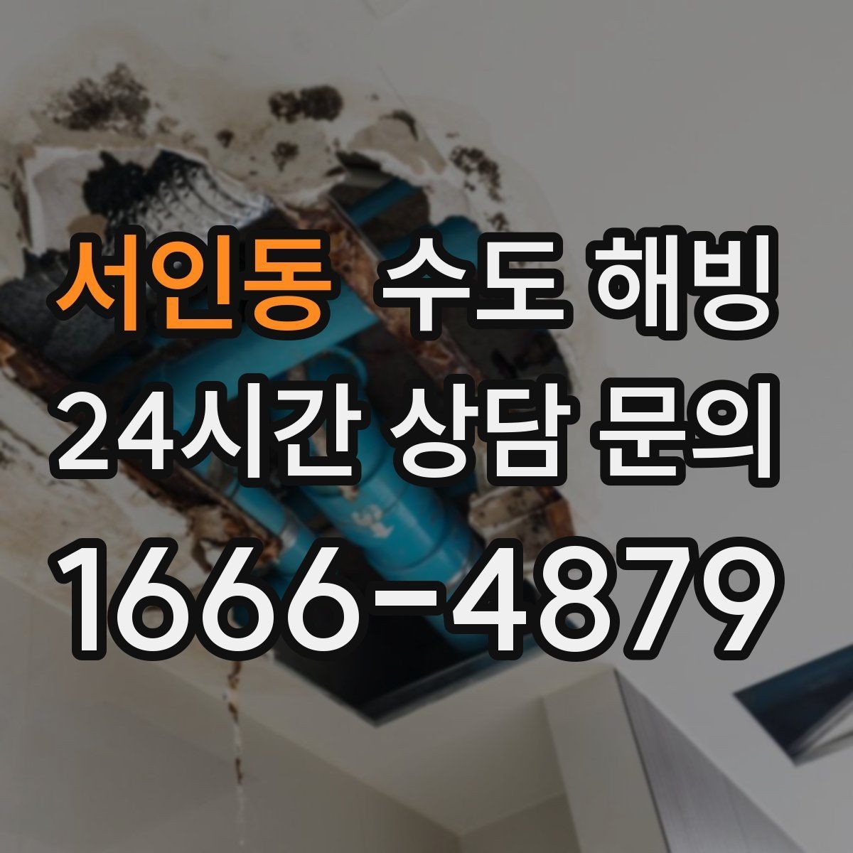 서인동 수도 해빙 보일러는 정상인데 물만 안 나오면