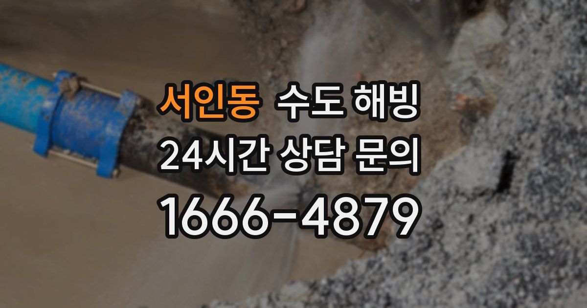 서인동 수도 해빙