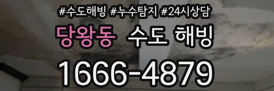 당왕동 수도 해빙