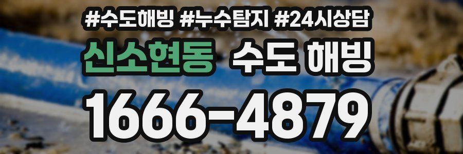 신소현동 수도 해빙