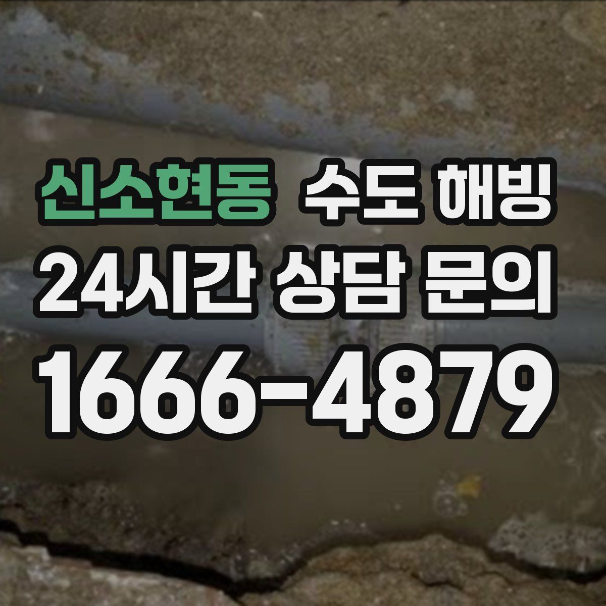 신소현동 수도 해빙