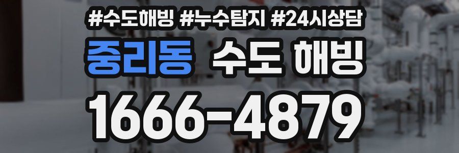 중리동 수도 해빙