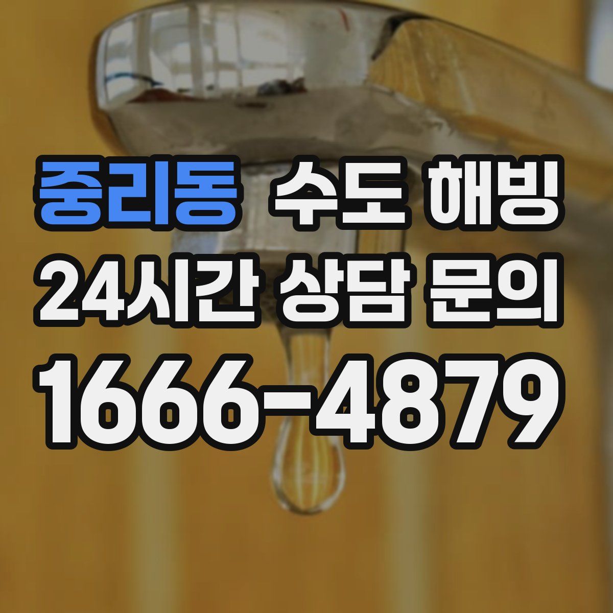 중리동 수도 해빙