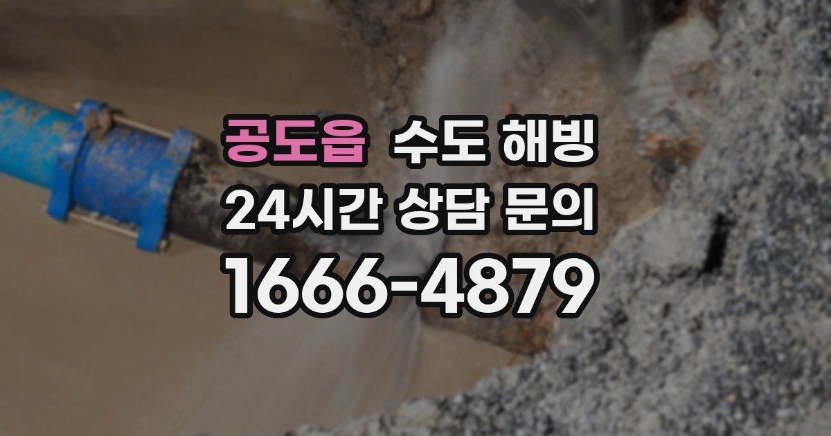 공도읍 수도 해빙