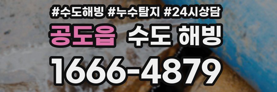 공도읍 수도 해빙