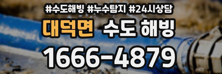 대덕면 수도 해빙