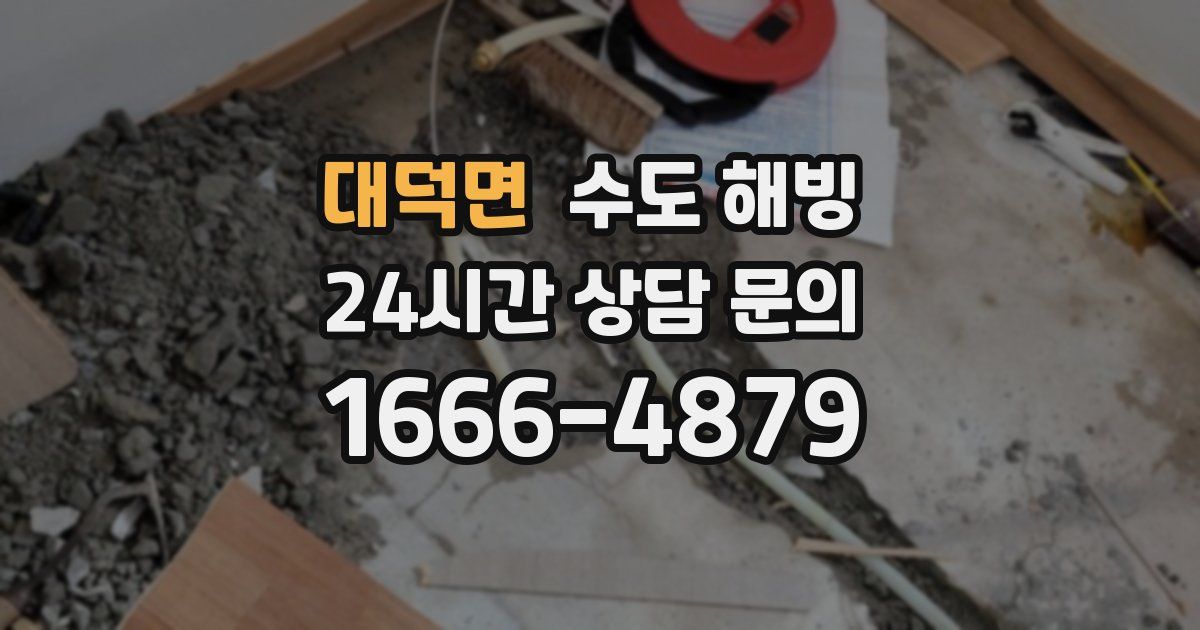 대덕면 수도 해빙