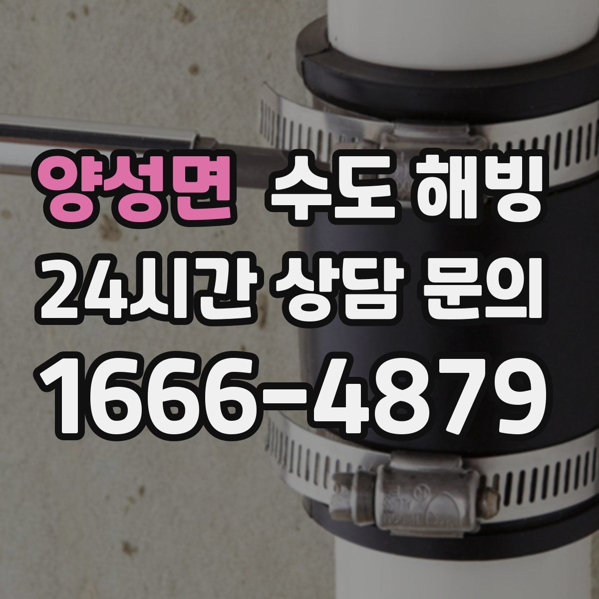 양성면 수도 해빙