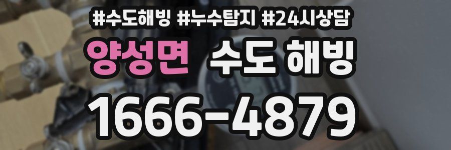 양성면 수도 해빙