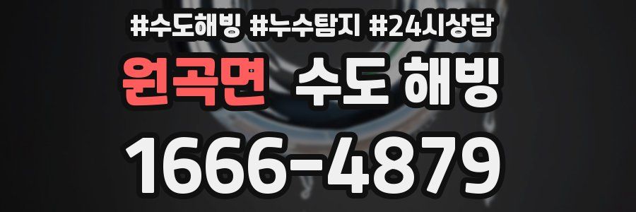 원곡면 수도 해빙