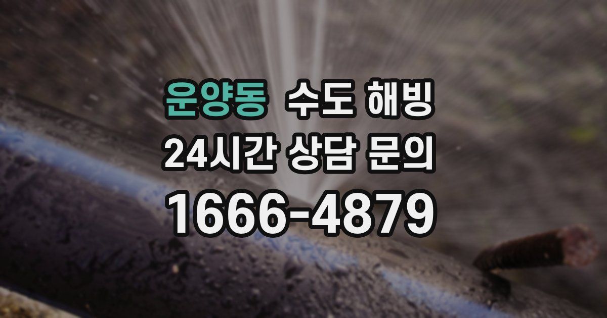 운양동 수도 해빙