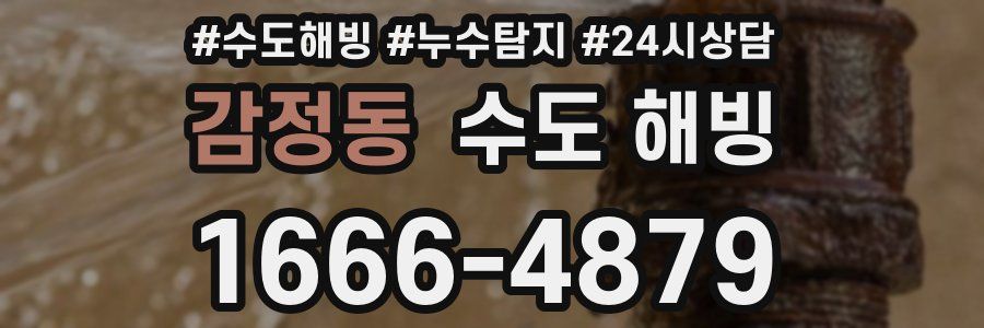 감정동 수도 해빙