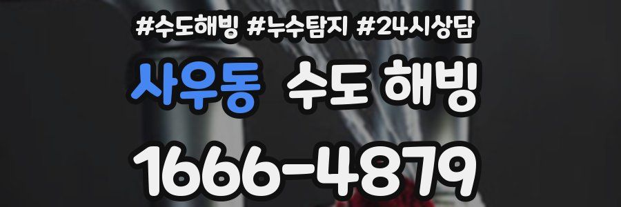 사우동 수도 해빙