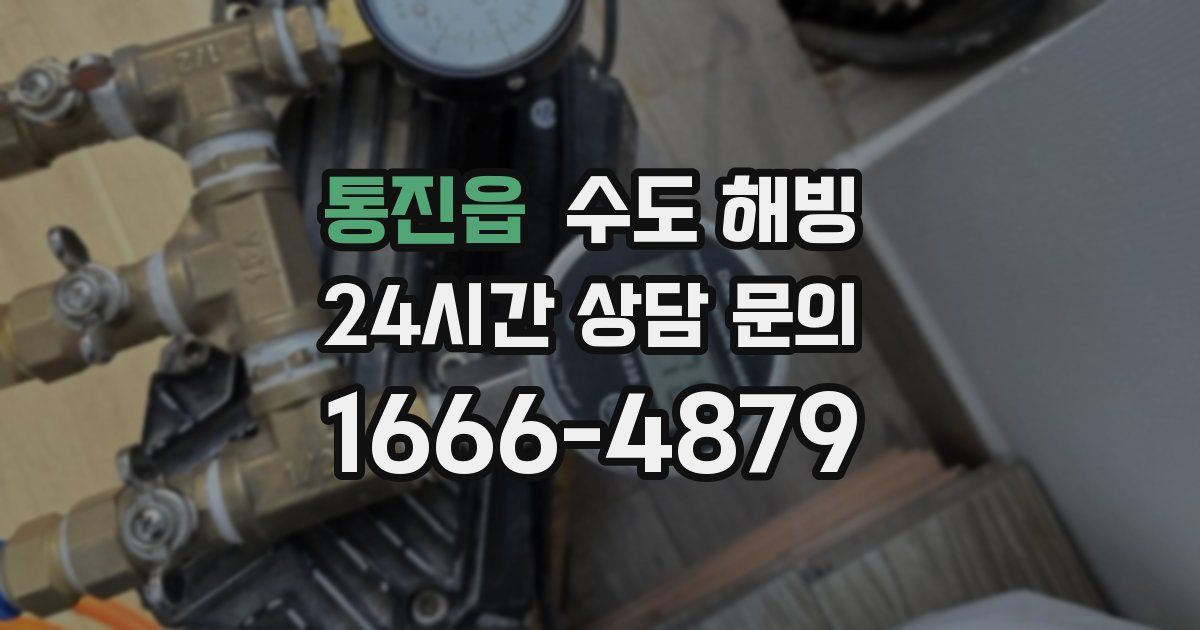 통진읍 수도 해빙