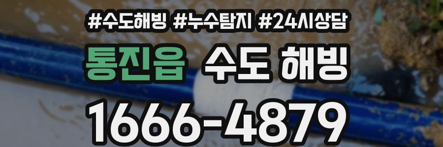 통진읍 수도 해빙