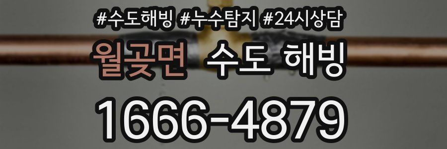 월곶면 수도 해빙