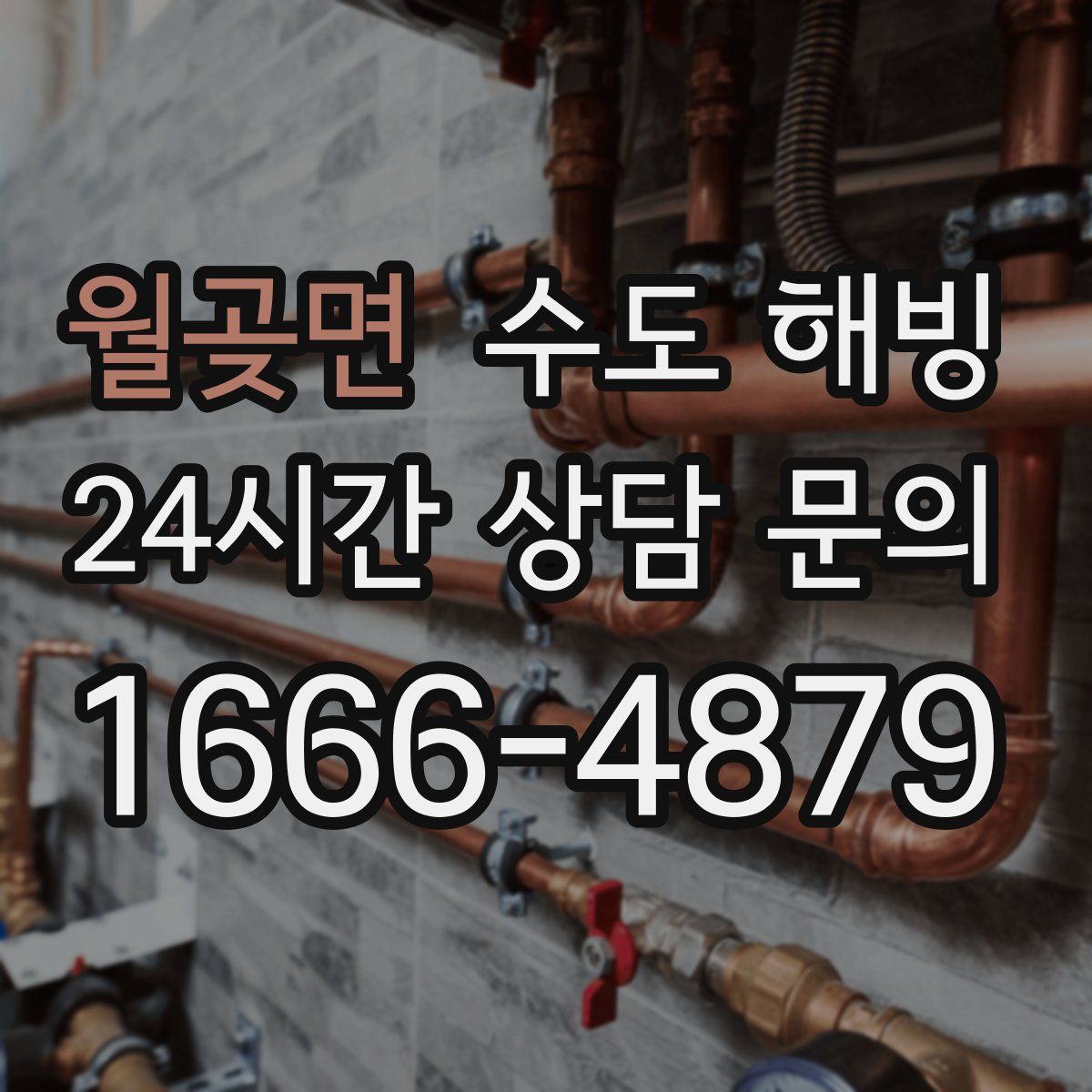 월곶면 수도 해빙