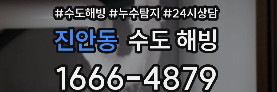 진안동 수도 해빙