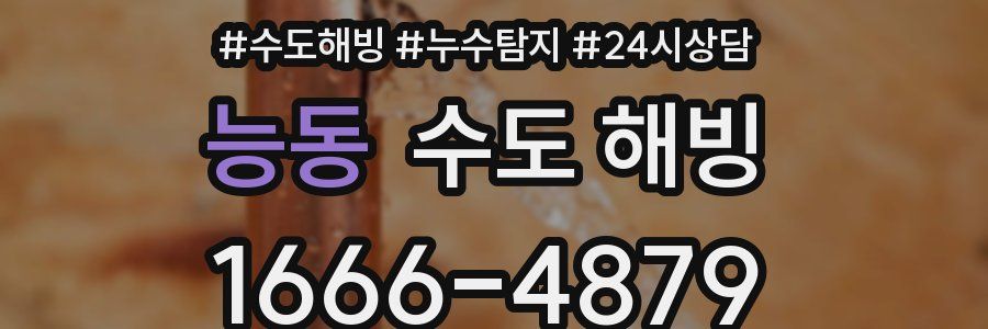 능동 수도 해빙