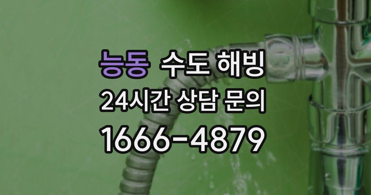 능동 수도 해빙