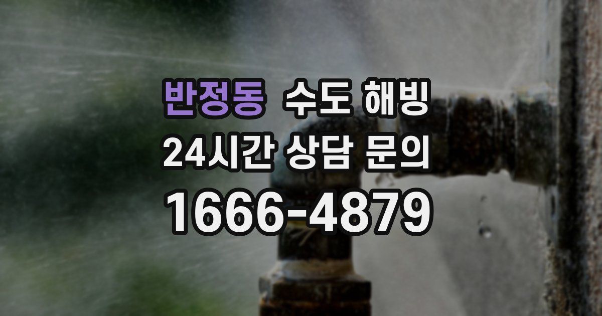 반정동 수도 해빙