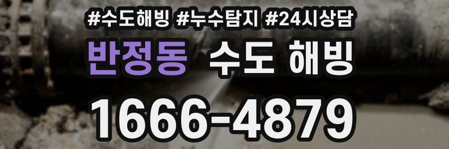 반정동 수도 해빙
