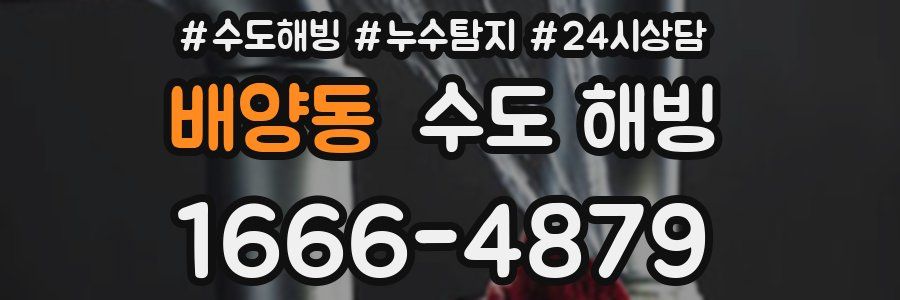 배양동 수도 해빙