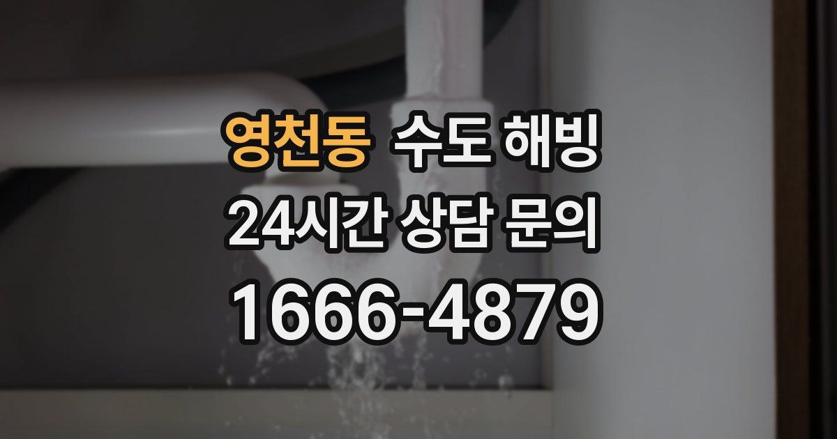 영천동 수도 해빙