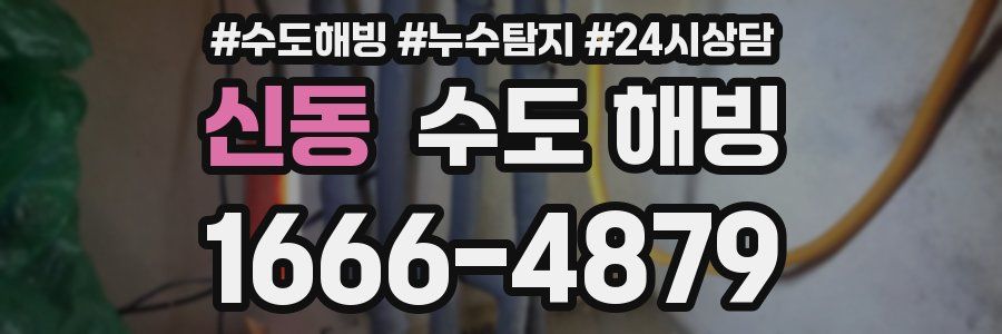 신동 수도 해빙