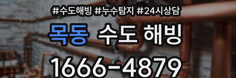 목동 수도 해빙