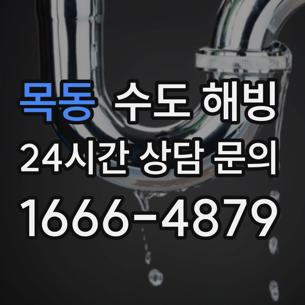 목동 수도 해빙