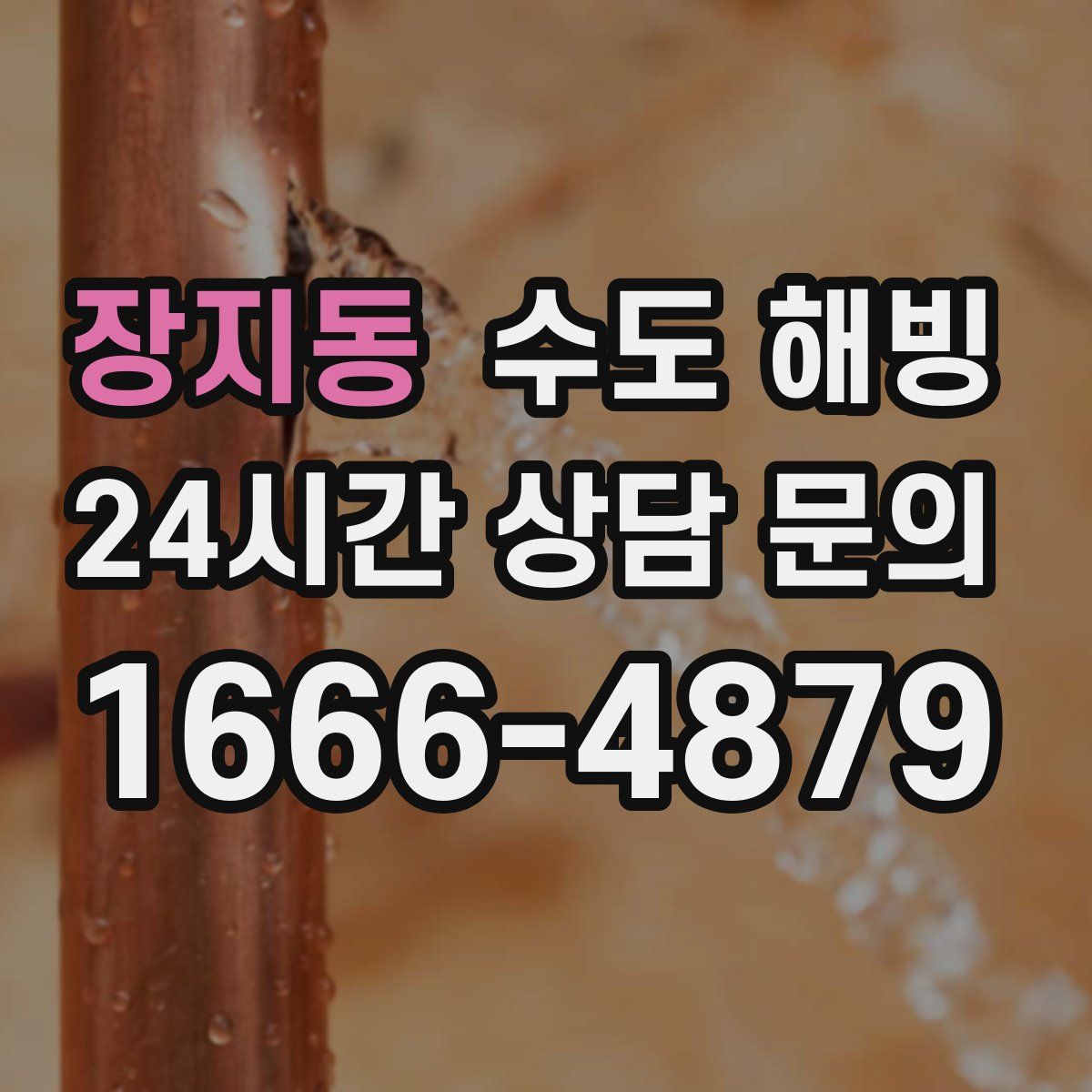 장지동 수도 해빙