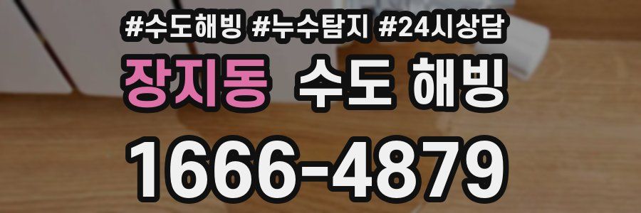 장지동 수도 해빙