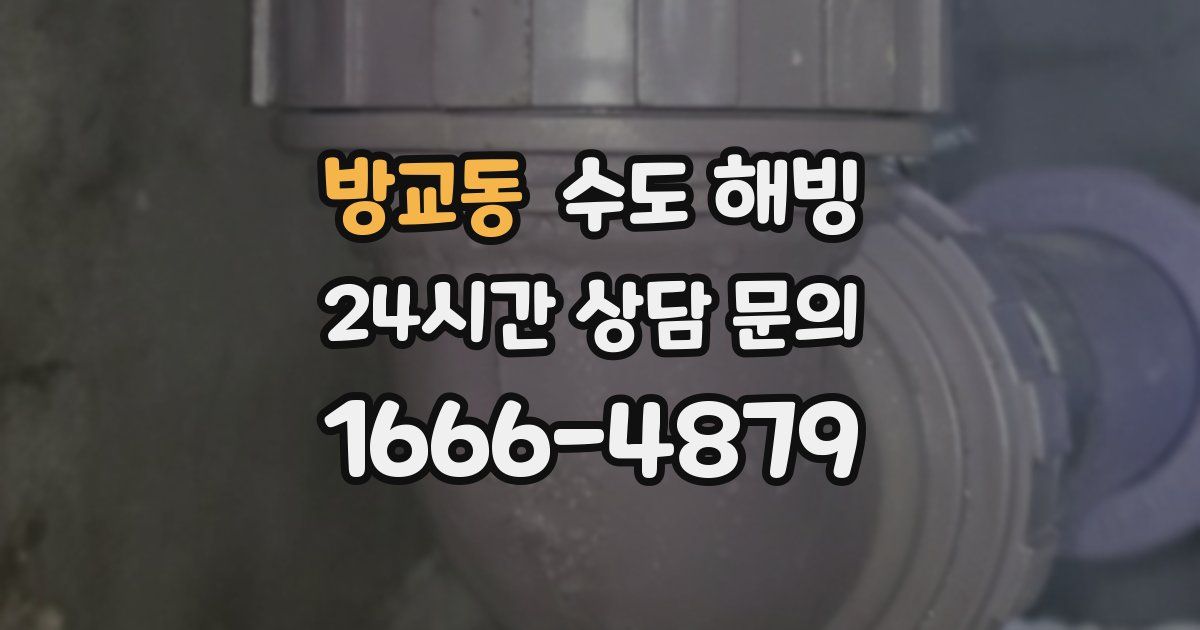 방교동 수도 해빙